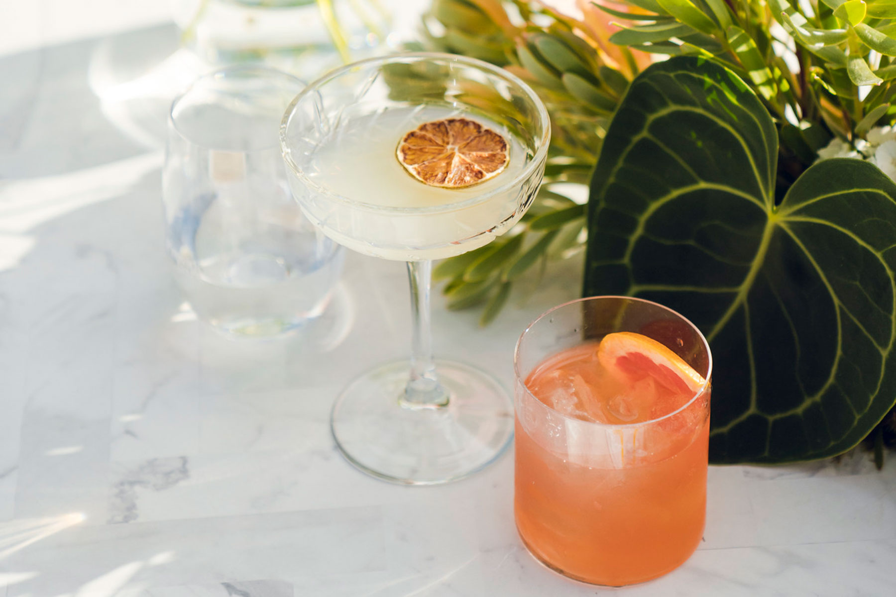 Two cocktails one with preserved lemon the other with orange