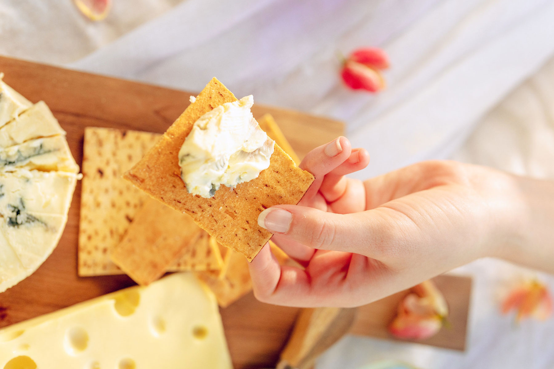 Hand holding soft cheese on a craker with blocks of cheese on a cheeseboard in the background