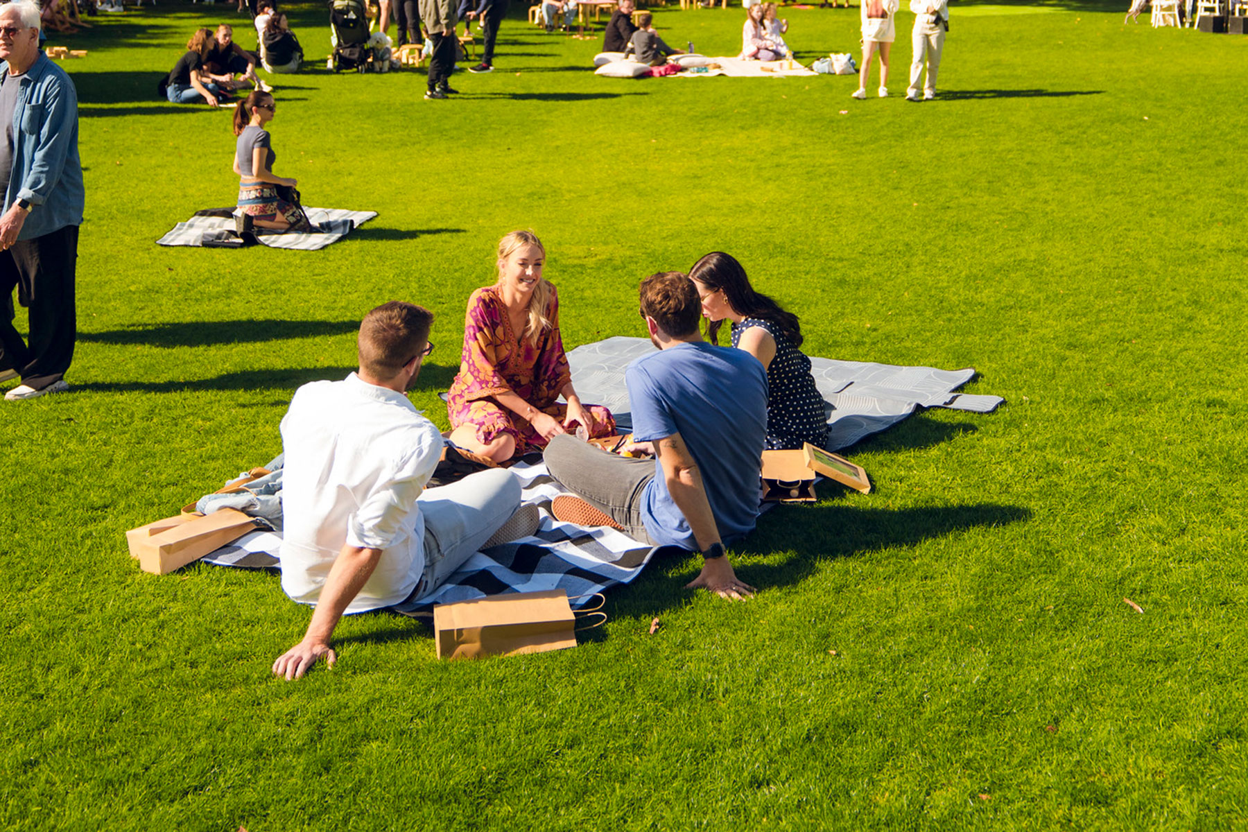 People sitting on a picnic rug on a green lawn in the sun